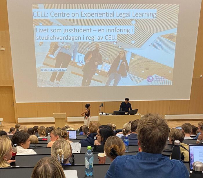Domus Juridica, campusbygg for det Juridiske fakultet ved Universitetet i Oslo. Skulptur, trapper.