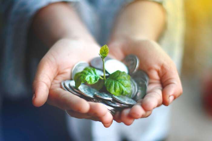 Bildet kan inneholde: hands, money, plant