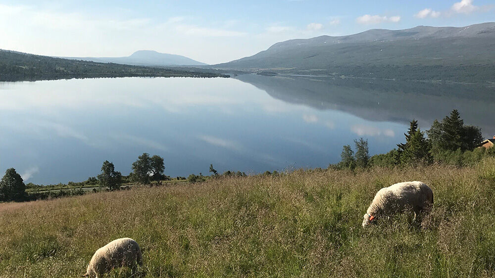 Bildet kan inneholde: fjellrike landformer, fjell, naturlandskap, høyde, høylandet.