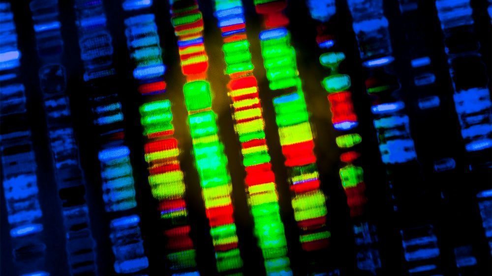 The image shows DNA in blue, green and red color.