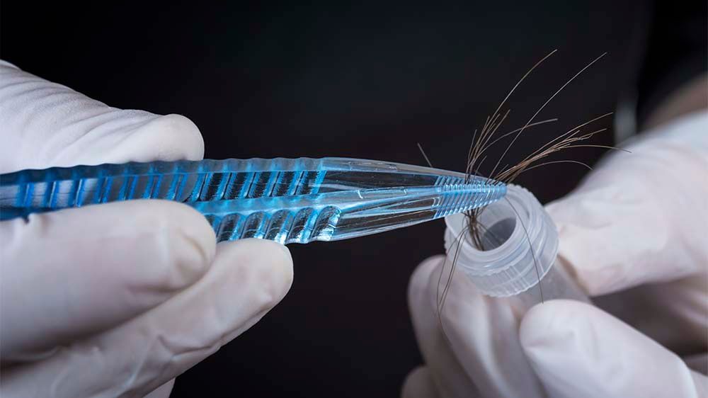 En person legger noen hår i en plastbeholder for DNA-analyse. 