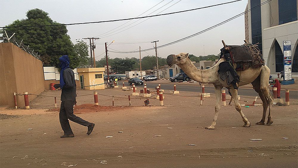 En mann går tur med kamelen sin i Niamey sentrum i Niger.