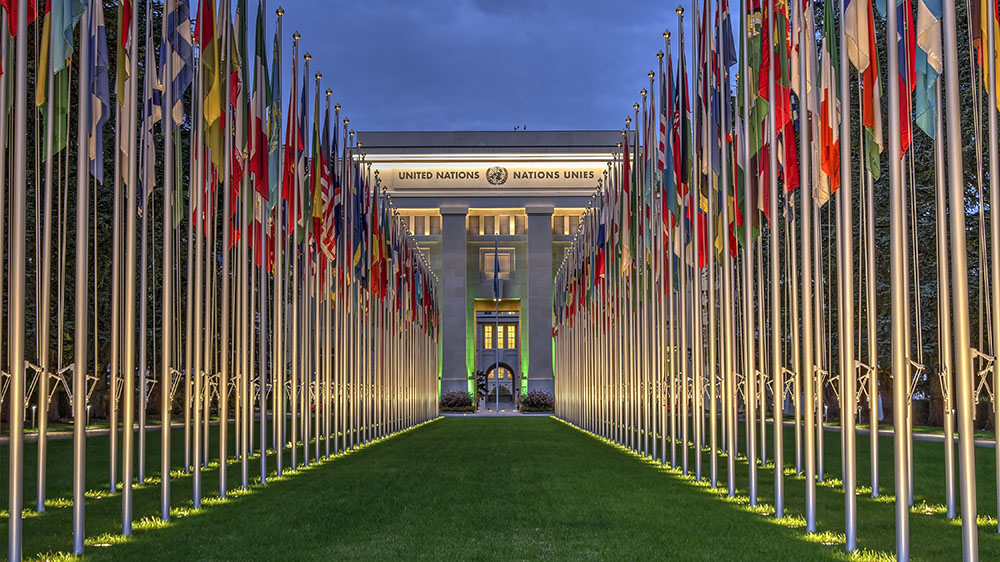 Image of UN building surrounded by alley of flags.