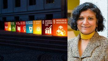 A picture of SDGs number 1 till 9 displayed as boxes outside Domus Media, UiO.Next to a headshot photograph of professor Nandini Ramanujam smiling