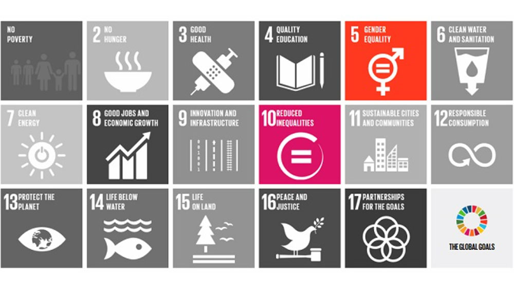 Schematic display of the UN Sustainable Development Goals also called the SDGs. SDG number 5 and SDG number 10 are highlighted in red color and in pink color.